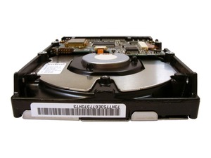 How You Can Prevent Data Loss